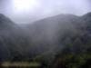 Parco Naz. della Calabria